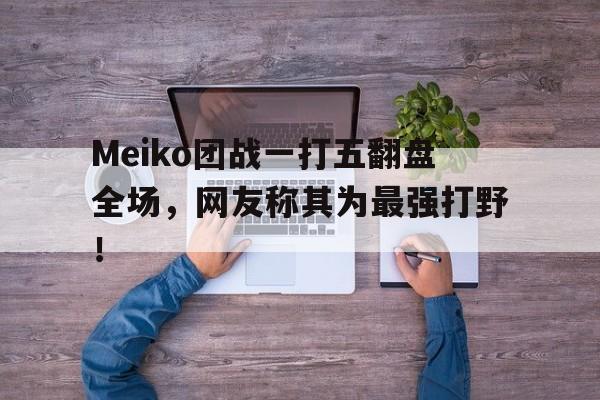 Meiko团战一打五翻盘全场，网友称其为最强打野！